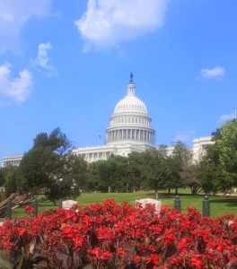 US Capitol