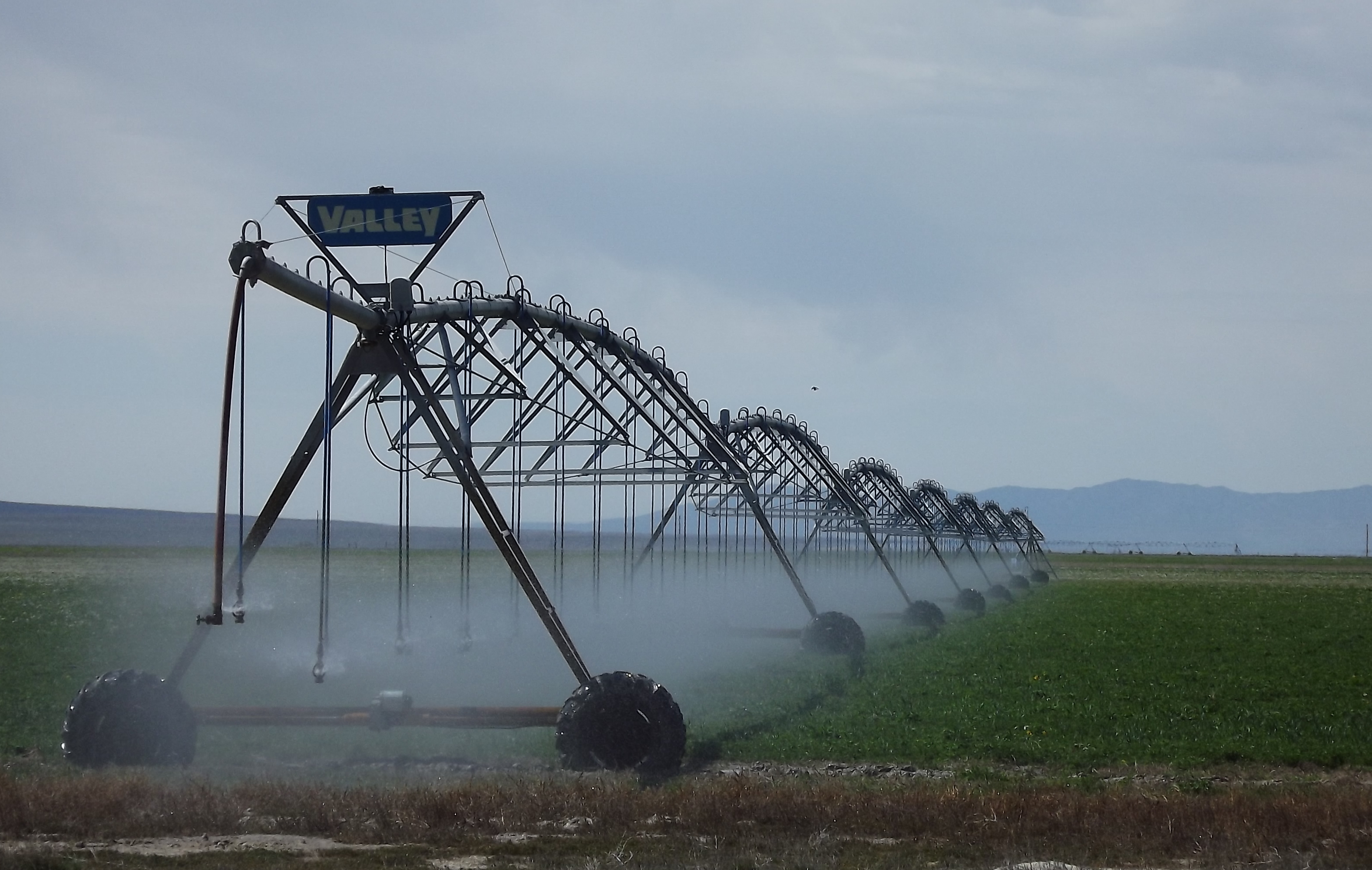 Deep Utah coal deposits - repositories for greenhouse gas